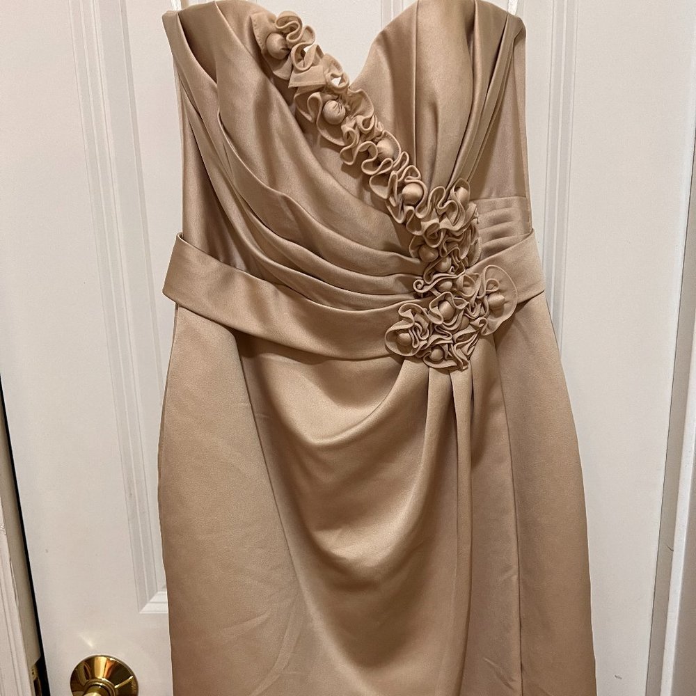 Vineyard Collection  dress Size 2 tan